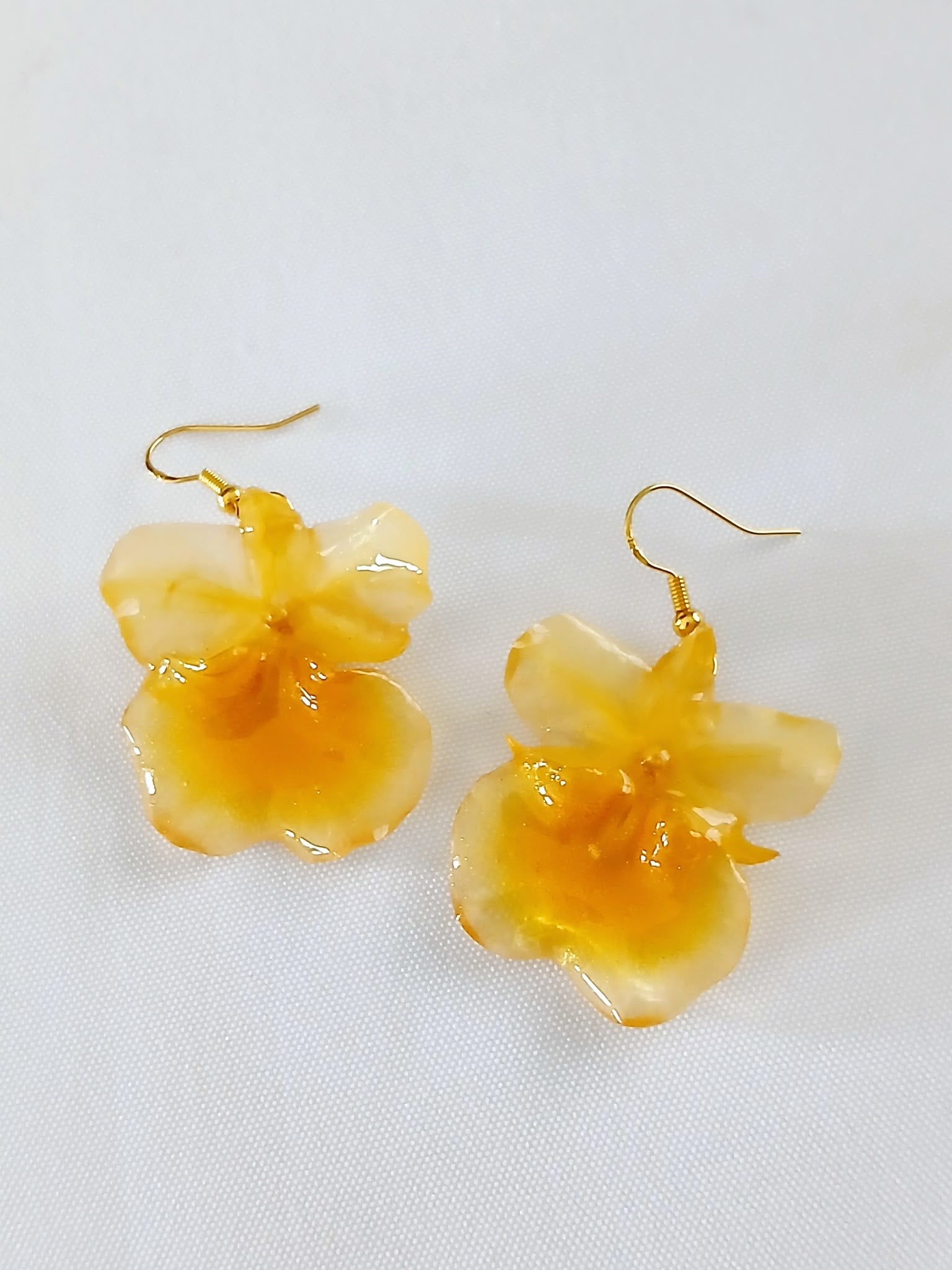 Sol de Orquídea