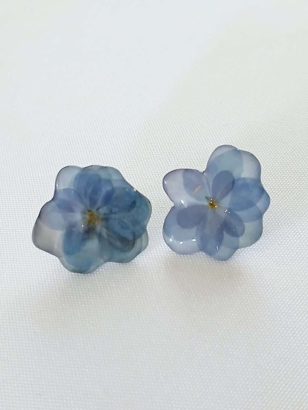 Cielo de Hortensia