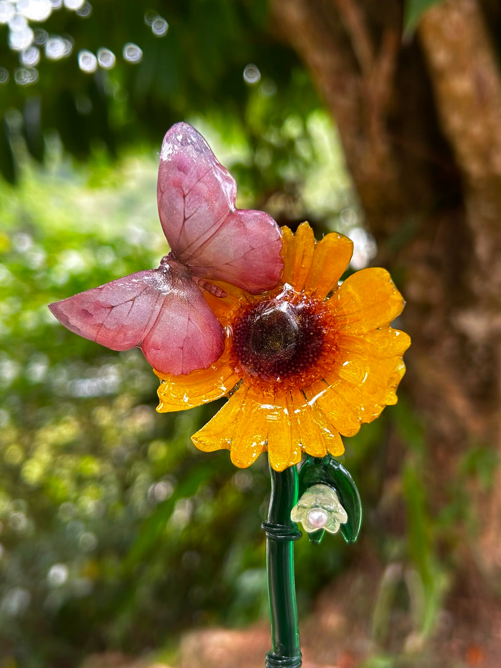 Alma de Sol