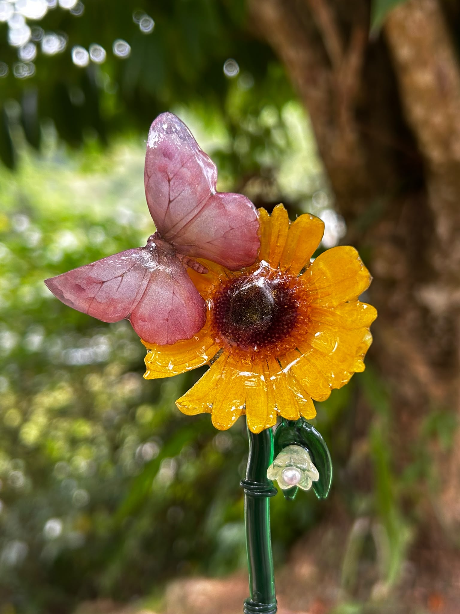 Alma de Sol