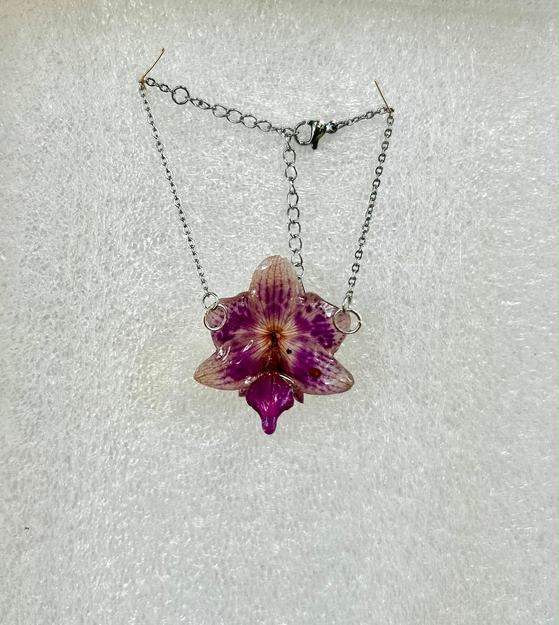 Encanto violeta