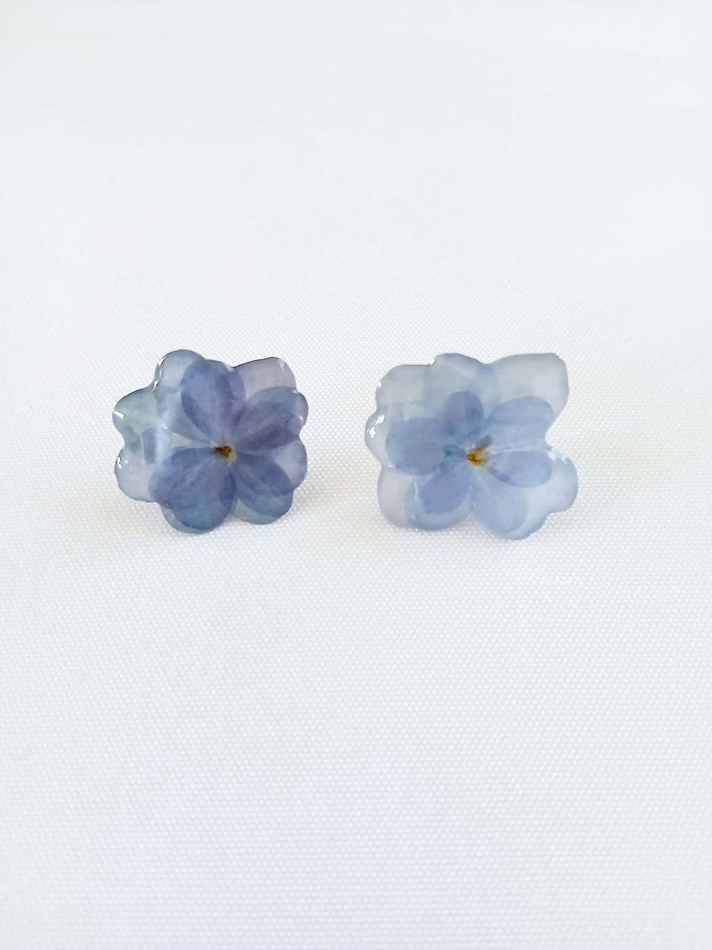 Cielo de Hortensia