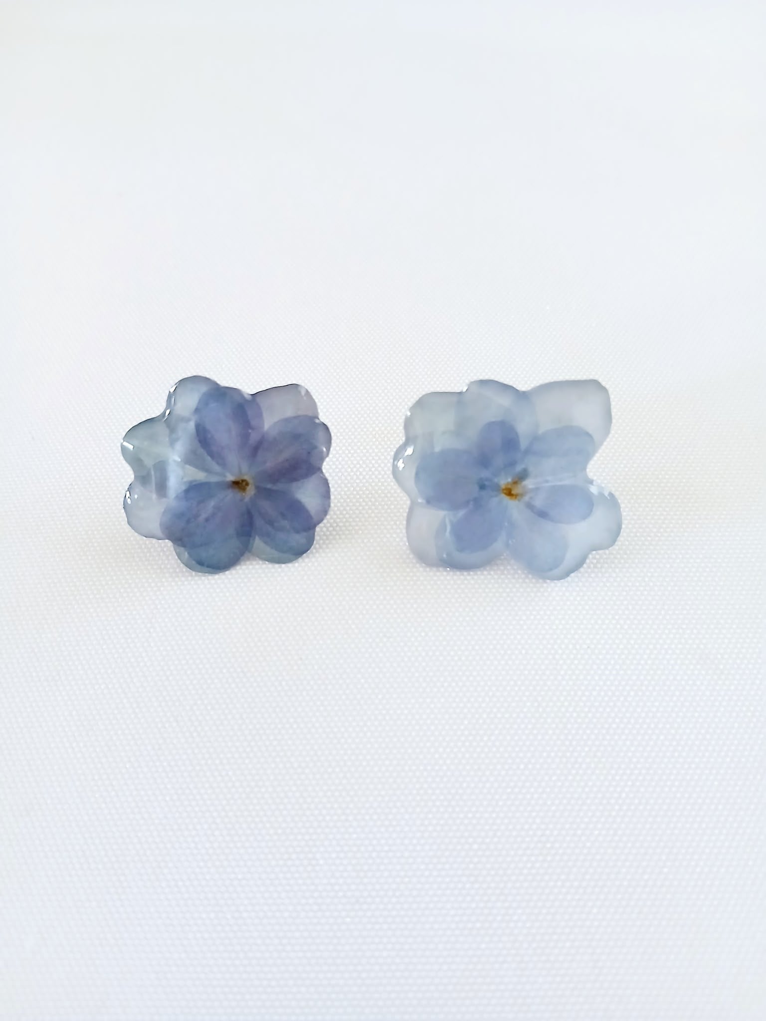 Cielo de Hortensia