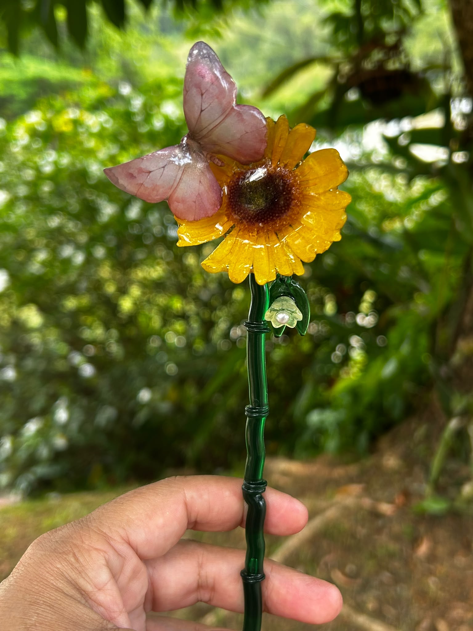 Alma de Sol