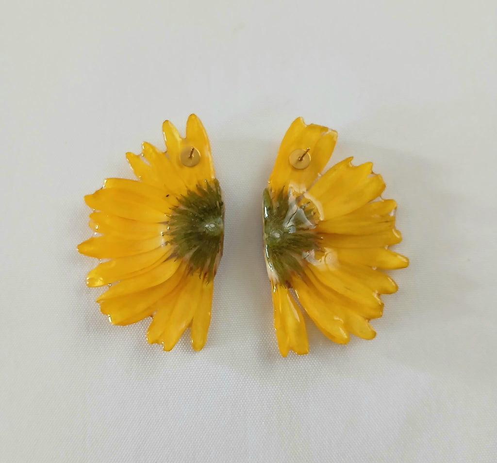 Flor de sol