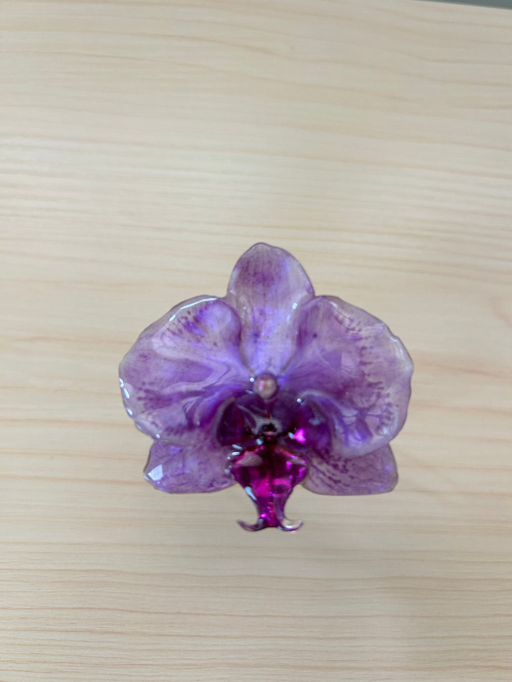 Orquidea Amatista
