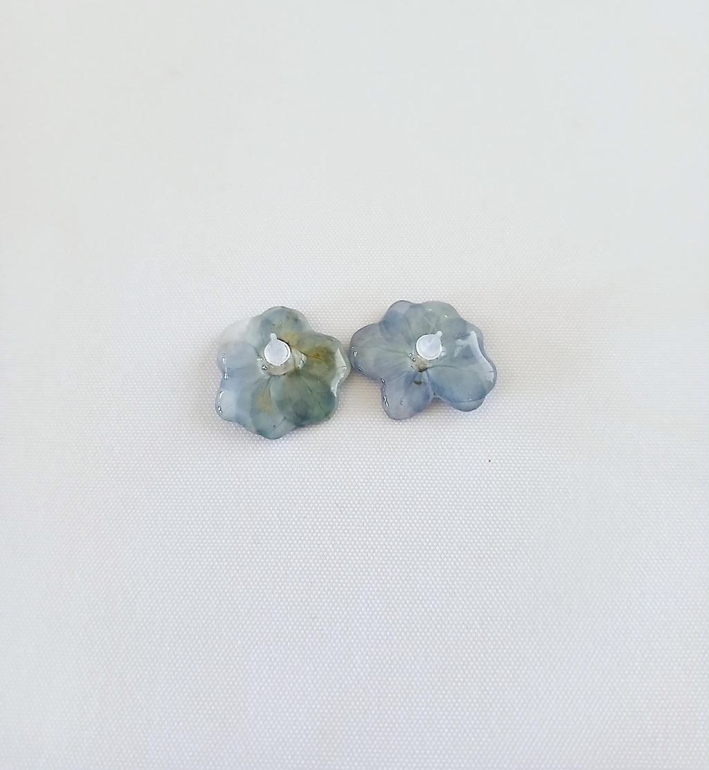 Cielo de Hortensia