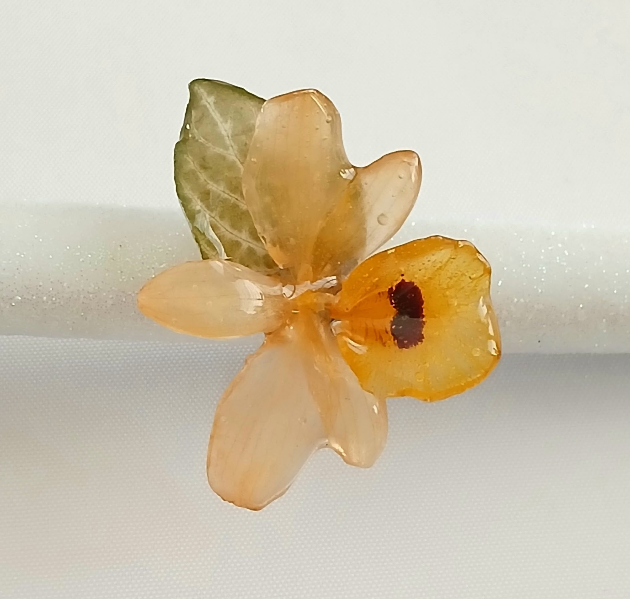 Sol de abeja