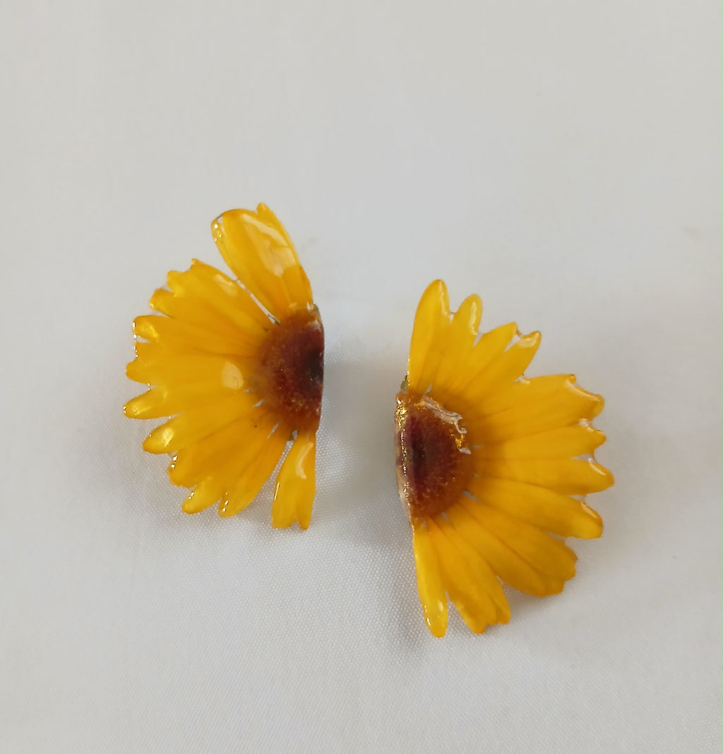 Flor de sol
