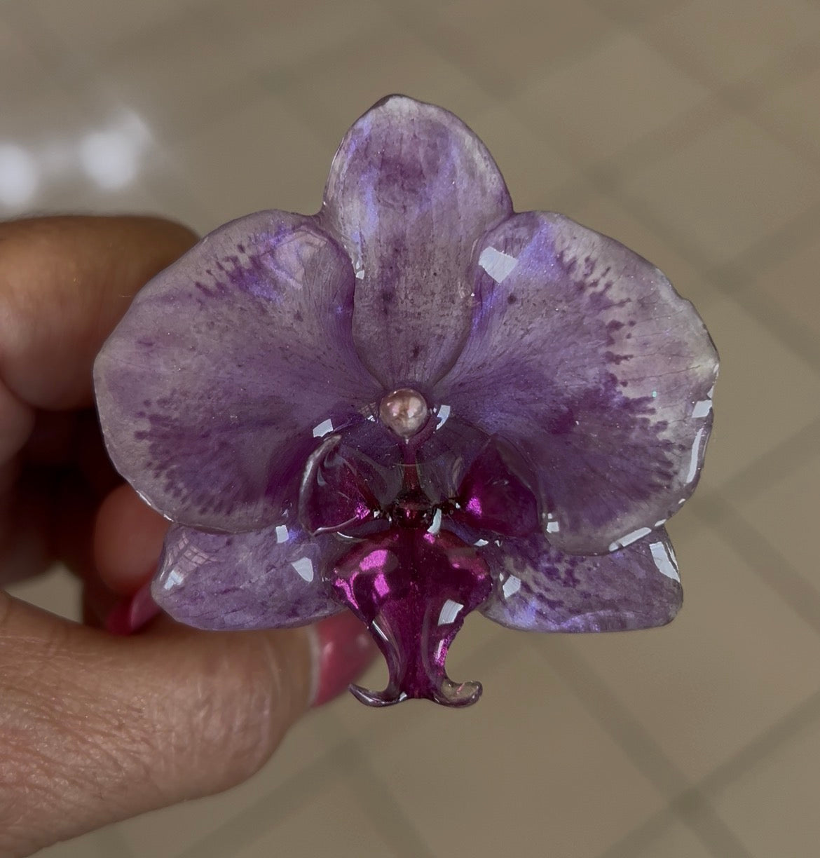 Orquidea Amatista