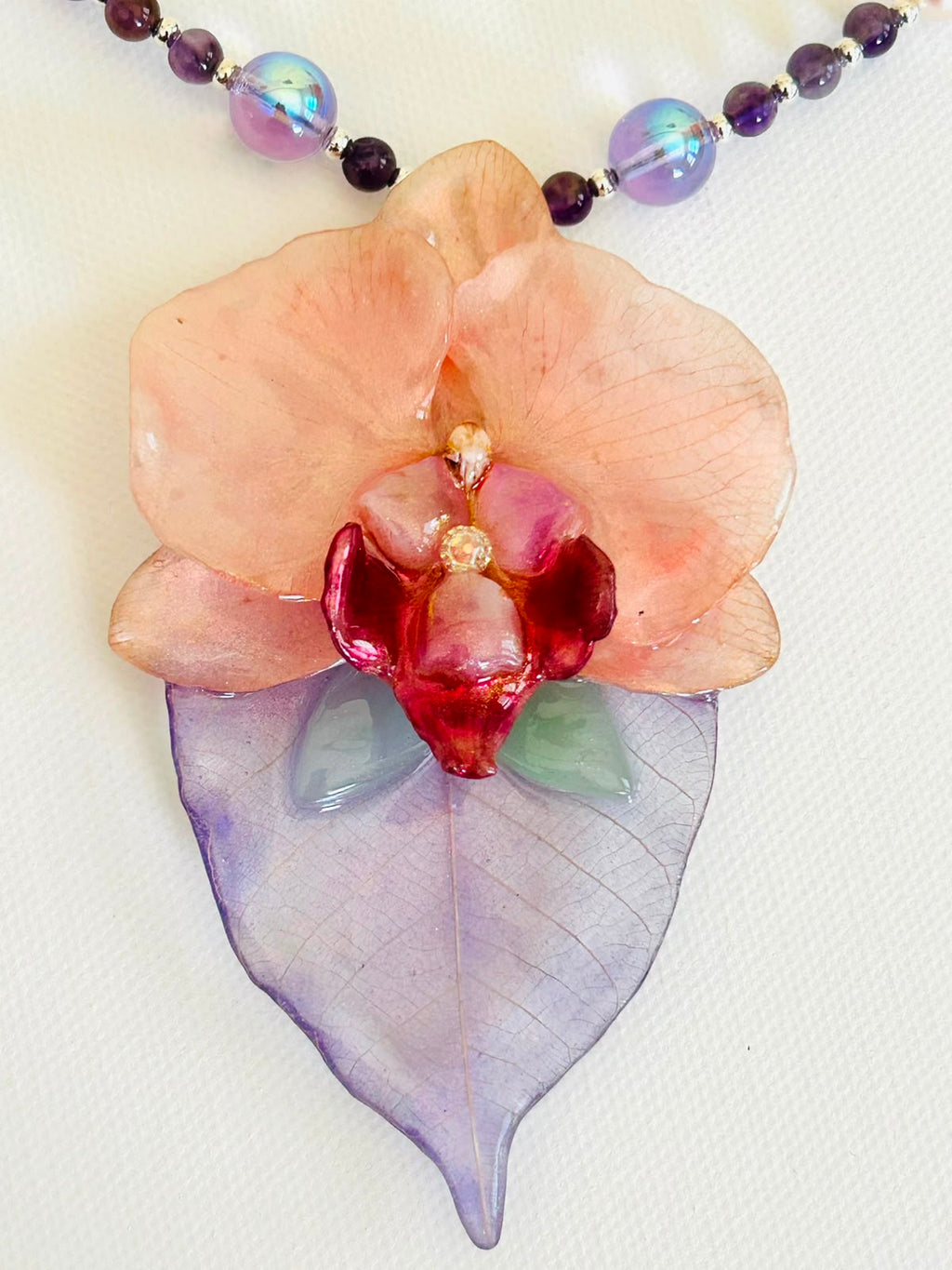 Orquidea de Luna