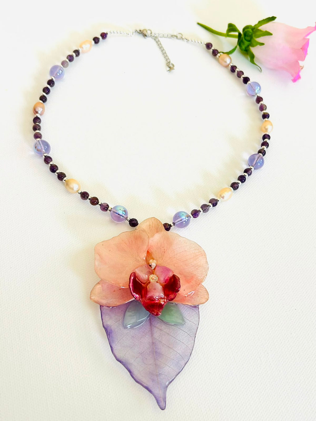 Orquidea de Luna