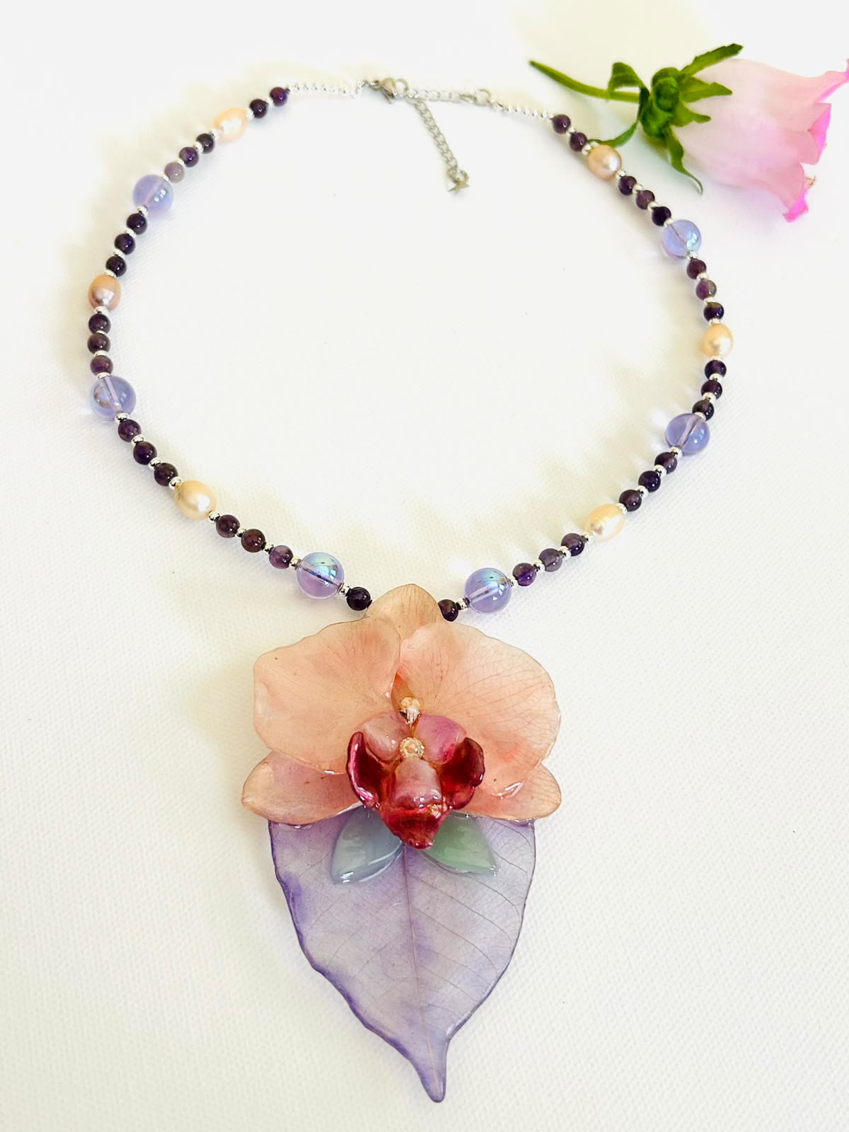 Orquidea de Luna