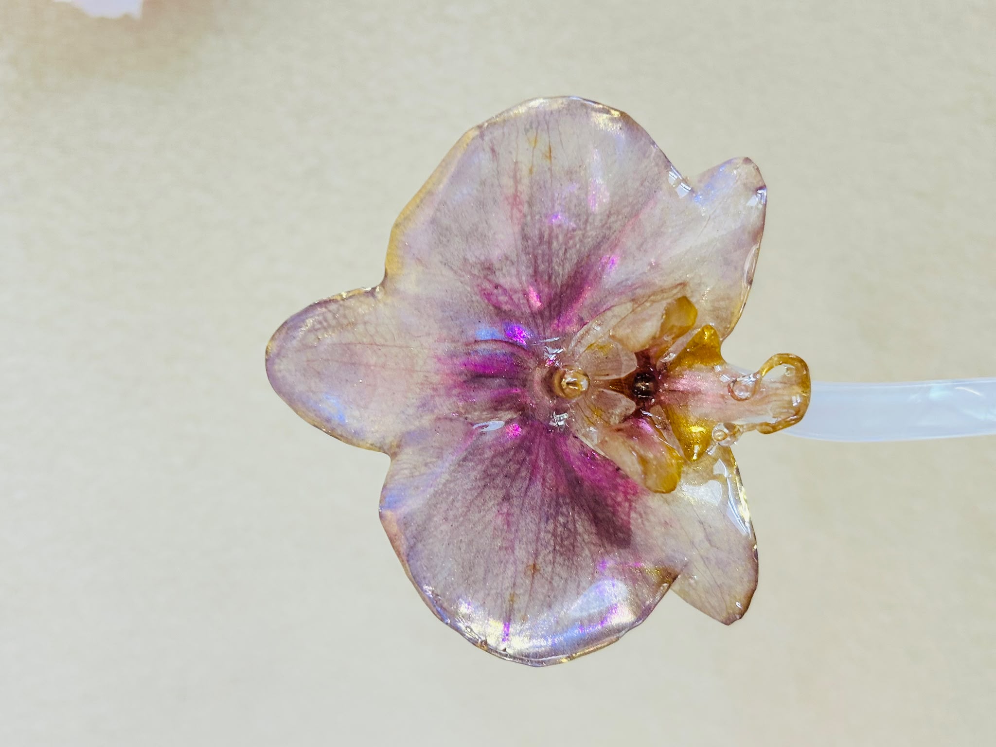 Orquidea aurora