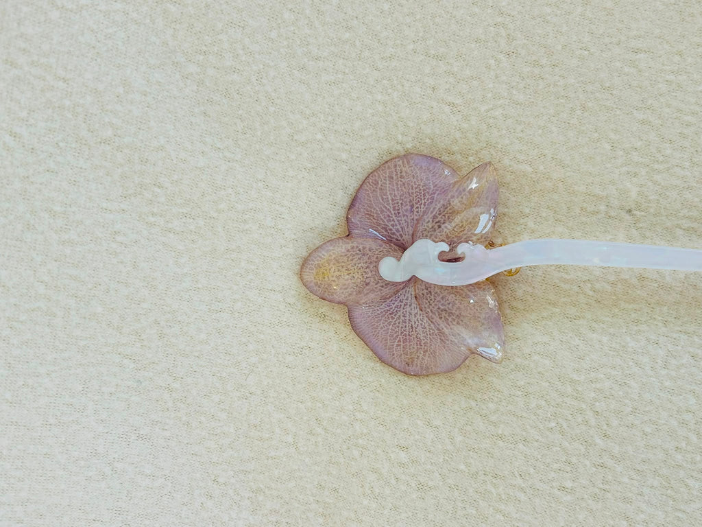 Orquidea aurora