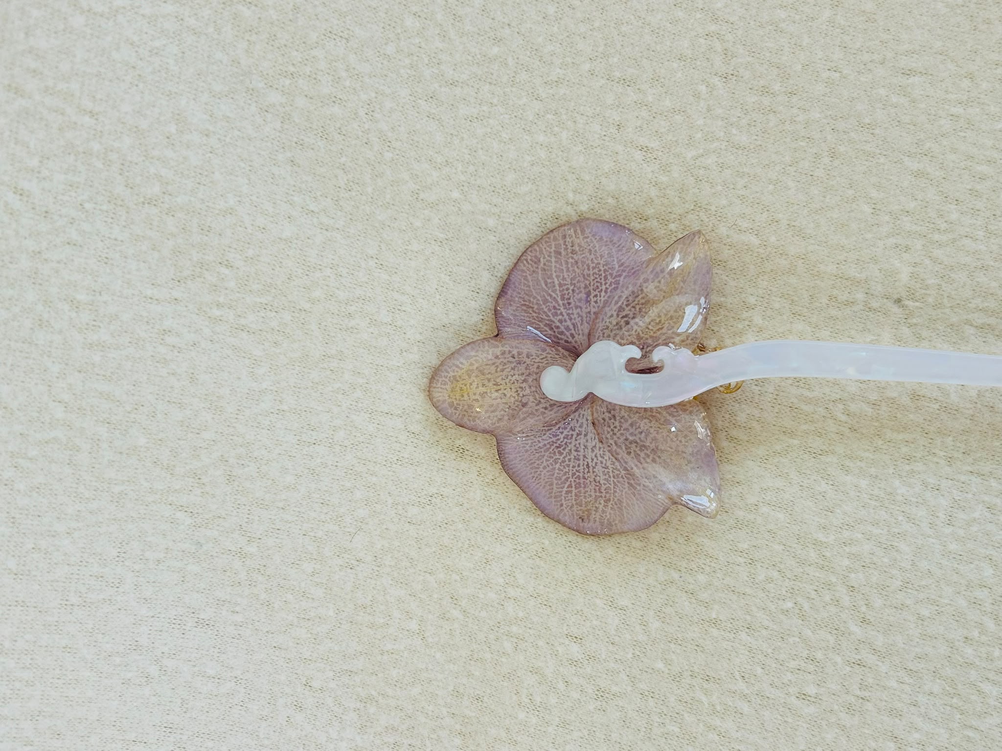 Orquidea aurora